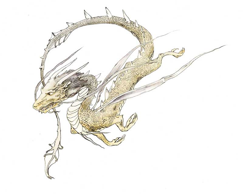 yang