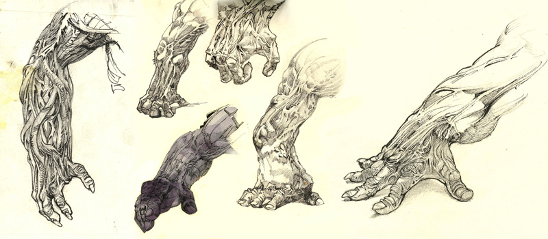 hands