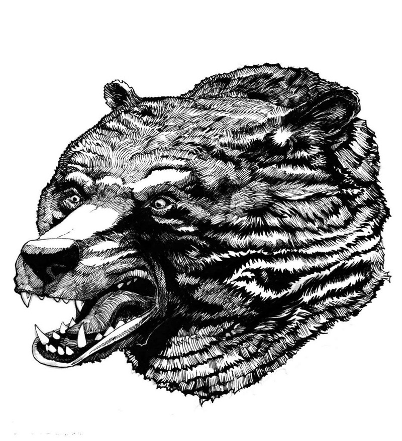 bear